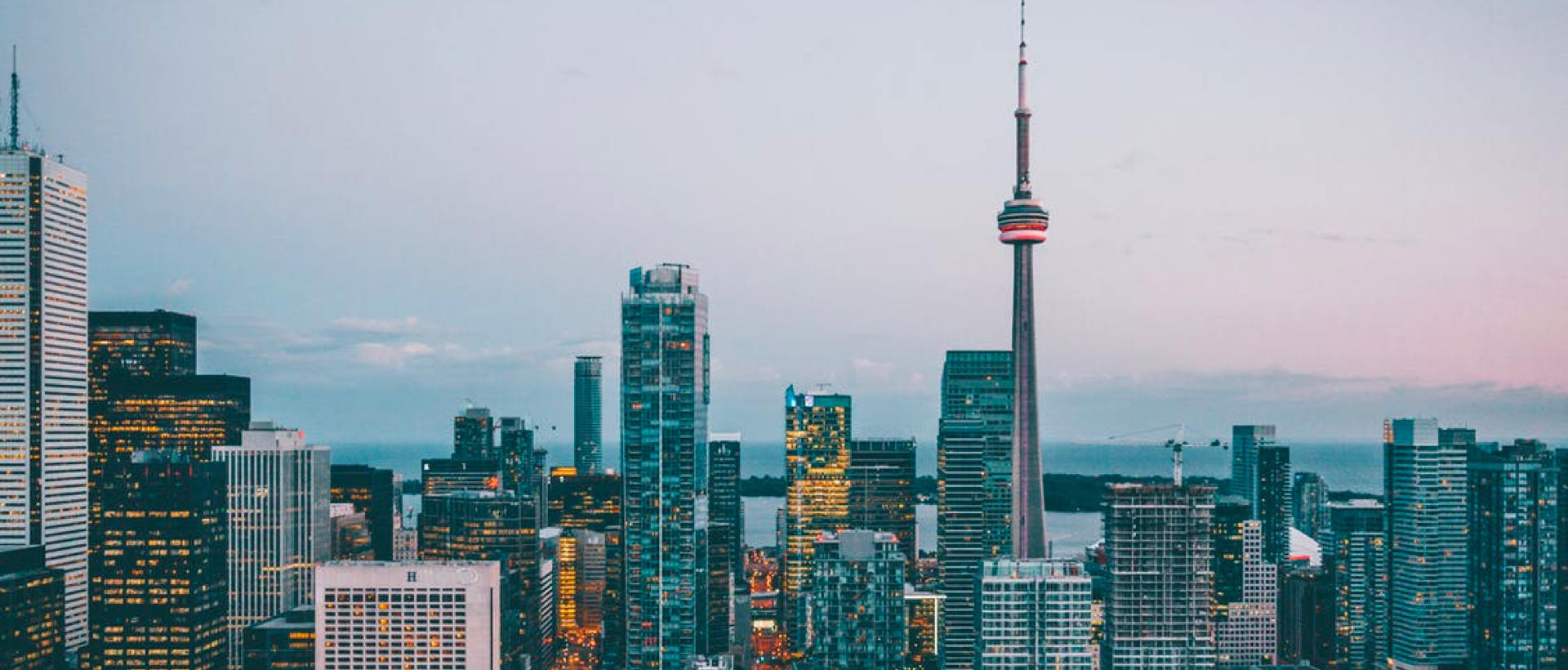 खोज परिणाम